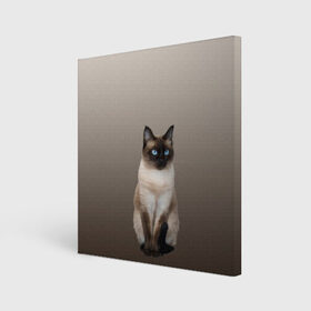 Холст квадратный с принтом Сиамский кот голубые глаза в Тюмени, 100% ПВХ |  | арт | бежевый | градиент | киса | коричневый | кот | котейка | котенок | котик | котэ | кошка | реализм | сиамец | сиамский