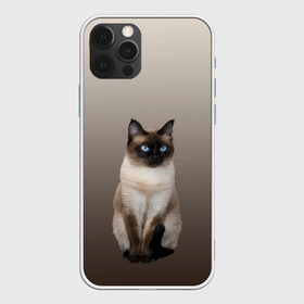 Чехол для iPhone 12 Pro Max с принтом Сиамский кот голубые глаза в Тюмени, Силикон |  | арт | бежевый | градиент | киса | коричневый | кот | котейка | котенок | котик | котэ | кошка | реализм | сиамец | сиамский