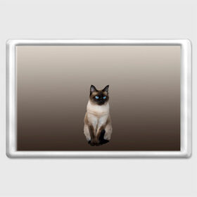 Магнит 45*70 с принтом Сиамский кот голубые глаза в Тюмени, Пластик | Размер: 78*52 мм; Размер печати: 70*45 | Тематика изображения на принте: арт | бежевый | градиент | киса | коричневый | кот | котейка | котенок | котик | котэ | кошка | реализм | сиамец | сиамский