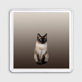 Магнит 55*55 с принтом Сиамский кот голубые глаза в Тюмени, Пластик | Размер: 65*65 мм; Размер печати: 55*55 мм | Тематика изображения на принте: арт | бежевый | градиент | киса | коричневый | кот | котейка | котенок | котик | котэ | кошка | реализм | сиамец | сиамский