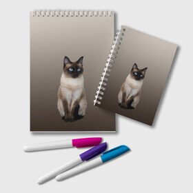 Блокнот с принтом Сиамский кот голубые глаза в Тюмени, 100% бумага | 48 листов, плотность листов — 60 г/м2, плотность картонной обложки — 250 г/м2. Листы скреплены удобной пружинной спиралью. Цвет линий — светло-серый
 | арт | бежевый | градиент | киса | коричневый | кот | котейка | котенок | котик | котэ | кошка | реализм | сиамец | сиамский