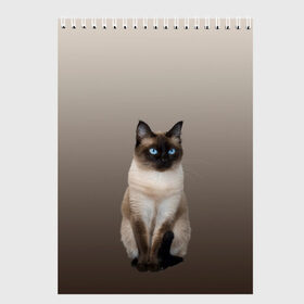 Скетчбук с принтом Сиамский кот голубые глаза в Тюмени, 100% бумага
 | 48 листов, плотность листов — 100 г/м2, плотность картонной обложки — 250 г/м2. Листы скреплены сверху удобной пружинной спиралью | арт | бежевый | градиент | киса | коричневый | кот | котейка | котенок | котик | котэ | кошка | реализм | сиамец | сиамский