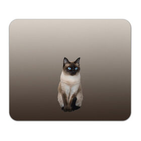 Коврик для мышки прямоугольный с принтом Сиамский кот голубые глаза в Тюмени, натуральный каучук | размер 230 х 185 мм; запечатка лицевой стороны | арт | бежевый | градиент | киса | коричневый | кот | котейка | котенок | котик | котэ | кошка | реализм | сиамец | сиамский