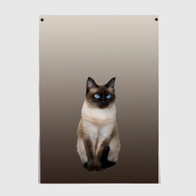 Постер с принтом Сиамский кот голубые глаза в Тюмени, 100% бумага
 | бумага, плотность 150 мг. Матовая, но за счет высокого коэффициента гладкости имеет небольшой блеск и дает на свету блики, но в отличии от глянцевой бумаги не покрыта лаком | арт | бежевый | градиент | киса | коричневый | кот | котейка | котенок | котик | котэ | кошка | реализм | сиамец | сиамский
