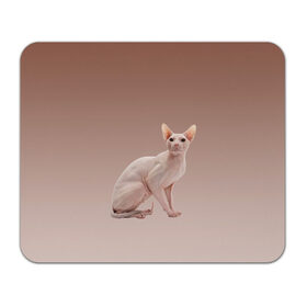 Коврик для мышки прямоугольный с принтом Лысый кот сфинкс в Тюмени, натуральный каучук | размер 230 х 185 мм; запечатка лицевой стороны | арт | бежевый | без шерсти | градиент | домашний питомец | киса | кот | котейка | котенок | котик | котэ | кошка | лысый | реализм | складки кожи | сфинкс | экзотика