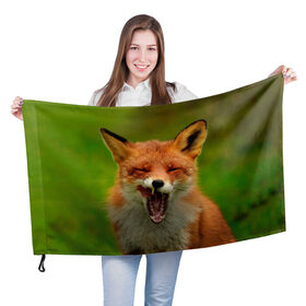 Флаг 3D с принтом Лисица в Тюмени, 100% полиэстер | плотность ткани — 95 г/м2, размер — 67 х 109 см. Принт наносится с одной стороны | fox | foxy | животное | звери | лиса | лисенок | лисичка | милая | рыжая | фокс