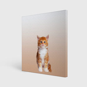 Холст квадратный с принтом бело-рыжий котенок реализм в Тюмени, 100% ПВХ |  | cat | kitten | бело рыжий | градиент | кот | котейка | котенок | котеночек | котик | котофей | котэ | кошка | малыш | милаш | мяу | нэко | реализм | рыже белый