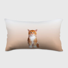 Подушка 3D антистресс с принтом бело-рыжий котенок реализм в Тюмени, наволочка — 100% полиэстер, наполнитель — вспененный полистирол | состоит из подушки и наволочки на молнии | Тематика изображения на принте: cat | kitten | бело рыжий | градиент | кот | котейка | котенок | котеночек | котик | котофей | котэ | кошка | малыш | милаш | мяу | нэко | реализм | рыже белый
