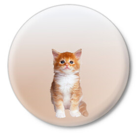 Значок с принтом бело-рыжий котенок реализм в Тюмени,  металл | круглая форма, металлическая застежка в виде булавки | cat | kitten | бело рыжий | градиент | кот | котейка | котенок | котеночек | котик | котофей | котэ | кошка | малыш | милаш | мяу | нэко | реализм | рыже белый
