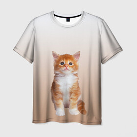 Мужская футболка 3D с принтом бело-рыжий котенок реализм в Тюмени, 100% полиэфир | прямой крой, круглый вырез горловины, длина до линии бедер | cat | kitten | бело рыжий | градиент | кот | котейка | котенок | котеночек | котик | котофей | котэ | кошка | малыш | милаш | мяу | нэко | реализм | рыже белый