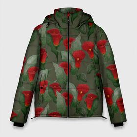 Мужская зимняя куртка 3D с принтом Каллы на зеленом фоне в Тюмени, верх — 100% полиэстер; подкладка — 100% полиэстер; утеплитель — 100% полиэстер | длина ниже бедра, свободный силуэт Оверсайз. Есть воротник-стойка, отстегивающийся капюшон и ветрозащитная планка. 

Боковые карманы с листочкой на кнопках и внутренний карман на молнии. | 8 марта | flowers | march 8 | spring | ботаническая иллюстрация | весна | день рождения | зеленый | каллы | красный | лето | любовь | праздник | принт | природа | растения | цветы