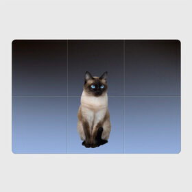 Магнитный плакат 3Х2 с принтом сиамская милая кошечка в Тюмени, Полимерный материал с магнитным слоем | 6 деталей размером 9*9 см | cat | kitten | голубые глаза | градиент | кот | котейка | котик | кошечка | кошка | милая | мяу | сиамская | сиамский
