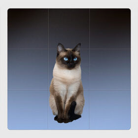 Магнитный плакат 3Х3 с принтом сиамская милая кошечка в Тюмени, Полимерный материал с магнитным слоем | 9 деталей размером 9*9 см | cat | kitten | голубые глаза | градиент | кот | котейка | котик | кошечка | кошка | милая | мяу | сиамская | сиамский
