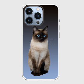 Чехол для iPhone 13 Pro с принтом сиамская милая кошечка в Тюмени,  |  | Тематика изображения на принте: cat | kitten | голубые глаза | градиент | кот | котейка | котик | кошечка | кошка | милая | мяу | сиамская | сиамский