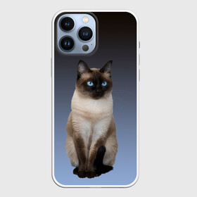 Чехол для iPhone 13 Pro Max с принтом сиамская милая кошечка в Тюмени,  |  | cat | kitten | голубые глаза | градиент | кот | котейка | котик | кошечка | кошка | милая | мяу | сиамская | сиамский