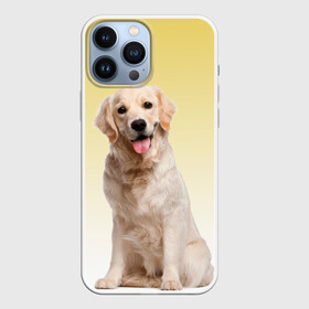 Чехол для iPhone 13 Pro Max с принтом Лабрадор ретривер пес в Тюмени,  |  | домашние любимцы | друг | животные | золотистый ретривер | лабрадор | пес | питомец | породистый | собака