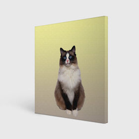 Холст квадратный с принтом персидская пушистая кошка в Тюмени, 100% ПВХ |  | ветеринар | градиент | домашний питомец | котейка | котик | коты | котэ | кошатник | кошатница | кошачьи | кошки | любитель животных | мяу | нэко | персидская | сиамская | смесь | шаблон