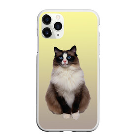 Чехол для iPhone 11 Pro матовый с принтом персидская пушистая кошка в Тюмени, Силикон |  | ветеринар | градиент | домашний питомец | котейка | котик | коты | котэ | кошатник | кошатница | кошачьи | кошки | любитель животных | мяу | нэко | персидская | сиамская | смесь | шаблон