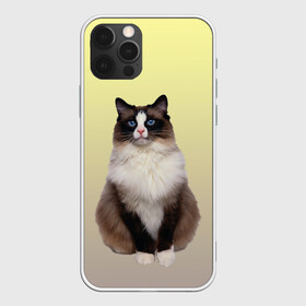 Чехол для iPhone 12 Pro Max с принтом персидская пушистая кошка в Тюмени, Силикон |  | ветеринар | градиент | домашний питомец | котейка | котик | коты | котэ | кошатник | кошатница | кошачьи | кошки | любитель животных | мяу | нэко | персидская | сиамская | смесь | шаблон