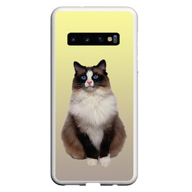 Чехол для Samsung Galaxy S10 с принтом персидская пушистая кошка в Тюмени, Силикон | Область печати: задняя сторона чехла, без боковых панелей | ветеринар | градиент | домашний питомец | котейка | котик | коты | котэ | кошатник | кошатница | кошачьи | кошки | любитель животных | мяу | нэко | персидская | сиамская | смесь | шаблон