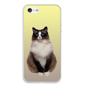 Чехол для iPhone 5/5S матовый с принтом персидская пушистая кошка в Тюмени, Силикон | Область печати: задняя сторона чехла, без боковых панелей | ветеринар | градиент | домашний питомец | котейка | котик | коты | котэ | кошатник | кошатница | кошачьи | кошки | любитель животных | мяу | нэко | персидская | сиамская | смесь | шаблон
