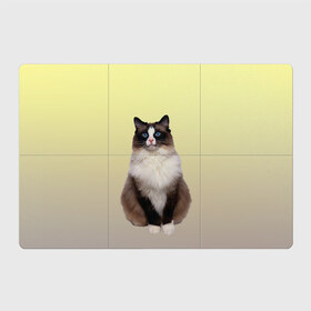 Магнитный плакат 3Х2 с принтом персидская пушистая кошка в Тюмени, Полимерный материал с магнитным слоем | 6 деталей размером 9*9 см | ветеринар | градиент | домашний питомец | котейка | котик | коты | котэ | кошатник | кошатница | кошачьи | кошки | любитель животных | мяу | нэко | персидская | сиамская | смесь | шаблон