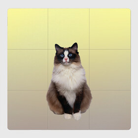 Магнитный плакат 3Х3 с принтом персидская пушистая кошка в Тюмени, Полимерный материал с магнитным слоем | 9 деталей размером 9*9 см | ветеринар | градиент | домашний питомец | котейка | котик | коты | котэ | кошатник | кошатница | кошачьи | кошки | любитель животных | мяу | нэко | персидская | сиамская | смесь | шаблон