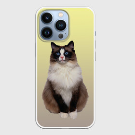 Чехол для iPhone 13 Pro с принтом персидская пушистая кошка в Тюмени,  |  | Тематика изображения на принте: ветеринар | градиент | домашний питомец | котейка | котик | коты | котэ | кошатник | кошатница | кошачьи | кошки | любитель животных | мяу | нэко | персидская | сиамская | смесь | шаблон