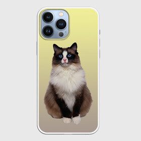 Чехол для iPhone 13 Pro Max с принтом персидская пушистая кошка в Тюмени,  |  | Тематика изображения на принте: ветеринар | градиент | домашний питомец | котейка | котик | коты | котэ | кошатник | кошатница | кошачьи | кошки | любитель животных | мяу | нэко | персидская | сиамская | смесь | шаблон