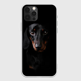 Чехол для iPhone 12 Pro Max с принтом ТАКСА в Тюмени, Силикон |  | animal | black | dog | photo | глаза | домашние | животные | звери | пес | собакен | собаки | такса | черный