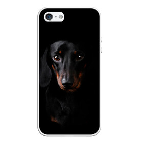 Чехол для iPhone 5/5S матовый с принтом ТАКСА в Тюмени, Силикон | Область печати: задняя сторона чехла, без боковых панелей | Тематика изображения на принте: animal | black | dog | photo | глаза | домашние | животные | звери | пес | собакен | собаки | такса | черный