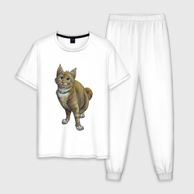 Мужская пижама хлопок с принтом Уличный котик рисунок в Тюмени, 100% хлопок | брюки и футболка прямого кроя, без карманов, на брюках мягкая резинка на поясе и по низу штанин
 | арт | бандит | вектор | градиент | кот | котенок | котик | котэ | мультяшный | мяу | полоски | рисунок | рыжий | серый | уличный | хитрюга