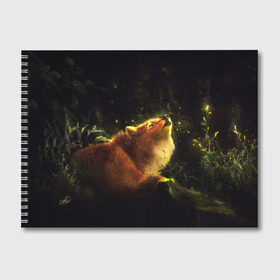 Альбом для рисования с принтом Лисица в Тюмени, 100% бумага
 | матовая бумага, плотность 200 мг. | fox | foxy | животное | звери | лиса | лисенок | лисичка | милая | рыжая | фокс