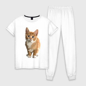 Женская пижама хлопок с принтом Котик в Тюмени, 100% хлопок | брюки и футболка прямого кроя, без карманов, на брюках мягкая резинка на поясе и по низу штанин | cat | кот | котенок | котэ | рыжий котик