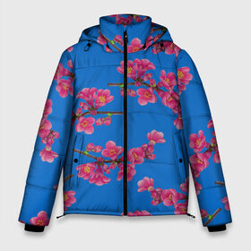 Мужская зимняя куртка 3D с принтом Цветы айвы на голубом фоне в Тюмени, верх — 100% полиэстер; подкладка — 100% полиэстер; утеплитель — 100% полиэстер | длина ниже бедра, свободный силуэт Оверсайз. Есть воротник-стойка, отстегивающийся капюшон и ветрозащитная планка. 

Боковые карманы с листочкой на кнопках и внутренний карман на молнии. | Тематика изображения на принте: 8 марта | flowers | march 8 | spring | айва | ботаническая иллюстрация | весна | день рождения | лето | любовь | праздник | принт | природа | растения | розовый | цветы