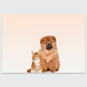 Поздравительная открытка с принтом щенок и котенок друзья в Тюмени, 100% бумага | плотность бумаги 280 г/м2, матовая, на обратной стороне линовка и место для марки
 | ветеринару | друзья | животные домашние | кот | котенок | любителю собак | млекопитающее | мультипликационный персонаж | мультяшная собака | мэй кун | песики | питомцы | псы | собакены | собаки