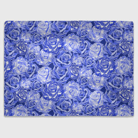 Плед 3D с принтом Голубые и синие розы в Тюмени, 100% полиэстер | закругленные углы, все края обработаны. Ткань не мнется и не растягивается | blue | flora | floral | flower | flowers | romantic | rose | roses | violet | букет роз | букет цветов | бутон | бутоны | день женщин | для девушек | для женщин | женский день | праздник | роза | романтика | садовая роза | флора