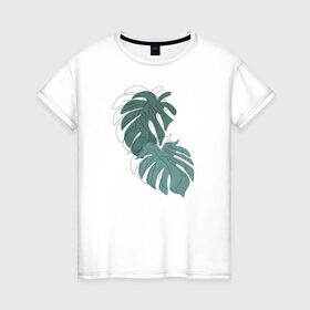 Женская футболка хлопок с принтом Monstera в Тюмени, 100% хлопок | прямой крой, круглый вырез горловины, длина до линии бедер, слегка спущенное плечо | flo | flowers | растения | флористика | цветение | цветы