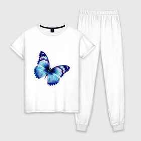 Женская пижама хлопок с принтом Синяя бабочка в Тюмени, 100% хлопок | брюки и футболка прямого кроя, без карманов, на брюках мягкая резинка на поясе и по низу штанин | бабочка | крылья | мотылек | насекомое | полет | рисунок | синий