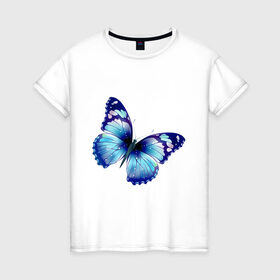 Женская футболка хлопок с принтом Синяя бабочка в Тюмени, 100% хлопок | прямой крой, круглый вырез горловины, длина до линии бедер, слегка спущенное плечо | бабочка | крылья | мотылек | насекомое | полет | рисунок | синий
