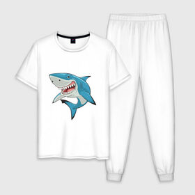 Мужская пижама хлопок с принтом акула злая в Тюмени, 100% хлопок | брюки и футболка прямого кроя, без карманов, на брюках мягкая резинка на поясе и по низу штанин
 | Тематика изображения на принте: акула | злая | зубы | море | океан | опасность | пасть | природа | рисунок | рыба
