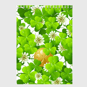 Скетчбук с принтом Ирландский Клевер и Монетка в Тюмени, 100% бумага
 | 48 листов, плотность листов — 100 г/м2, плотность картонной обложки — 250 г/м2. Листы скреплены сверху удобной пружинной спиралью | день ирландии | зеленая | зеленый | ирландец | ирландская | ирландский | клевер | монета | патрик | с патриком