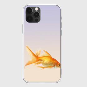 Чехол для iPhone 12 Pro Max с принтом золотая рыбка в Тюмени, Силикон |  | аквариум | градиент | золотая рыбка | подводный мир | рыба | рыбешка | рыбка