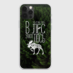 Чехол для iPhone 12 Pro Max с принтом В лес захотелось в Тюмени, Силикон |  | бег | болота | выезд с палатками | глушь | дикая природа | елки | еловый бор | кэмпинг | лес | лось | маршрут | ммб | сибирь | силуэт лося | тайга | тотем | трекинг | туризм | узоры