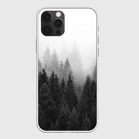 Чехол для iPhone 12 Pro Max с принтом Туманный лес в Тюмени, Силикон |  | tegunvteg | деревья | лес | листья | природа | темный лес | туман | туманный лес