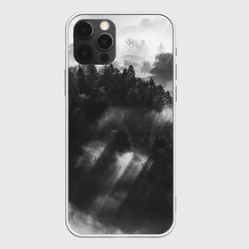 Чехол для iPhone 12 Pro Max с принтом Туман в лесу в Тюмени, Силикон |  | tegunvteg | деревья | лес | листья | природа | темный лес | туман