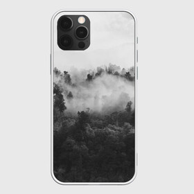 Чехол для iPhone 12 Pro Max с принтом Лес в Тюмени, Силикон |  | tegunvteg | деревья | лес | листья | природа | темный лес | туман | туман в лесу