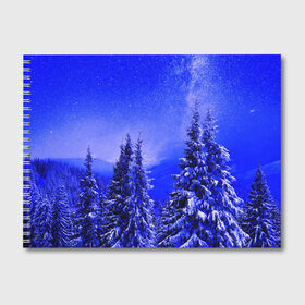 Альбом для рисования с принтом Зимний лес в Тюмени, 100% бумага
 | матовая бумага, плотность 200 мг. | Тематика изображения на принте: tegunvteg | деревья | зима | зимний лес | лес | листья | мороз | природа | снег | темный лес