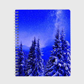 Тетрадь с принтом Зимний лес в Тюмени, 100% бумага | 48 листов, плотность листов — 60 г/м2, плотность картонной обложки — 250 г/м2. Листы скреплены сбоку удобной пружинной спиралью. Уголки страниц и обложки скругленные. Цвет линий — светло-серый
 | Тематика изображения на принте: tegunvteg | деревья | зима | зимний лес | лес | листья | мороз | природа | снег | темный лес