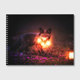 Альбом для рисования с принтом Лисица с фонариками в Тюмени, 100% бумага
 | матовая бумага, плотность 200 мг. | fox | foxy | животное | звери | лиса | лисенок | лисичка | милая | рыжая | фокс